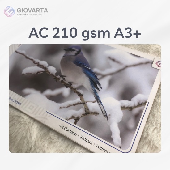 AC 210 gsm A3+