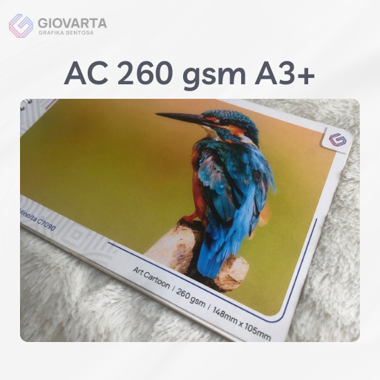 AC 260 gsm A3+