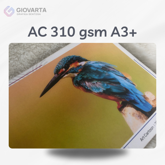 AC 310 gsm A3+