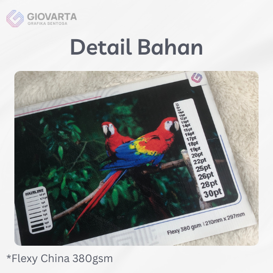 Flexi China 380 gsm